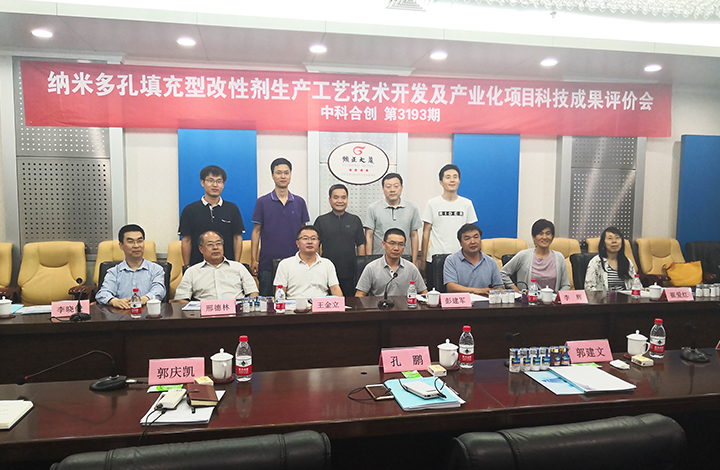 纳米多孔填充型改性剂生产工艺技术开发及产业化 anli.jpg